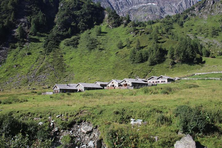 Bilder 10.Bergwoche  3. 11.08 (13) 