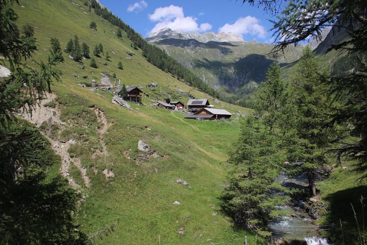 Bilder 10.Bergwoche  3. 11.08 (16) 