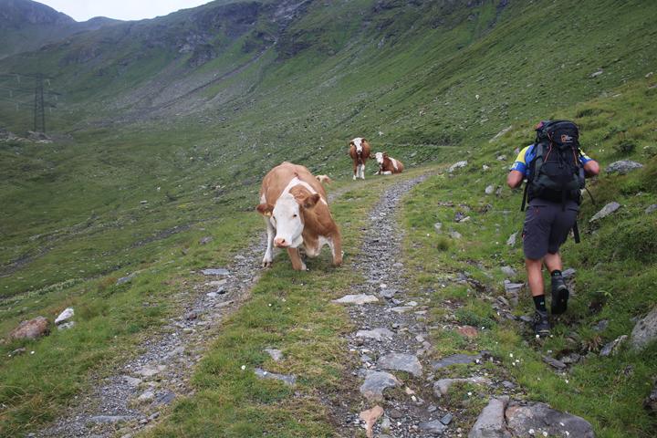 Bilder 10.Bergwoche  3. 11.08 (5) 