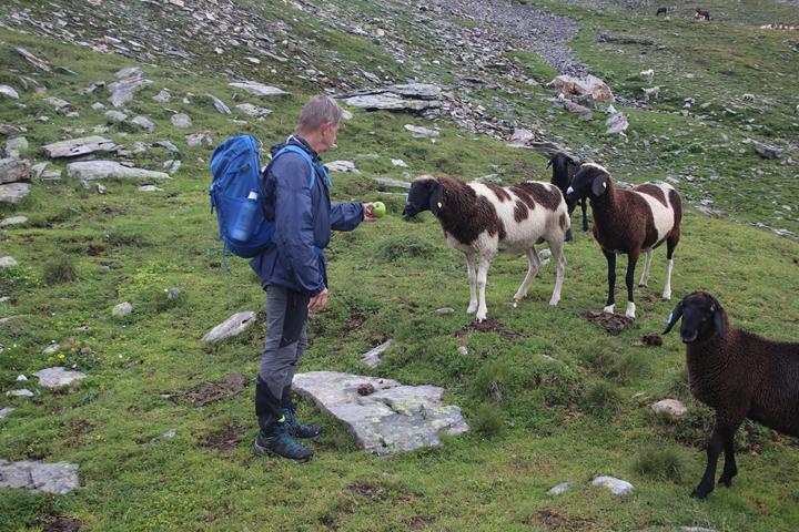 Bilder 10.Bergwoche  3. 11.08 (36) 