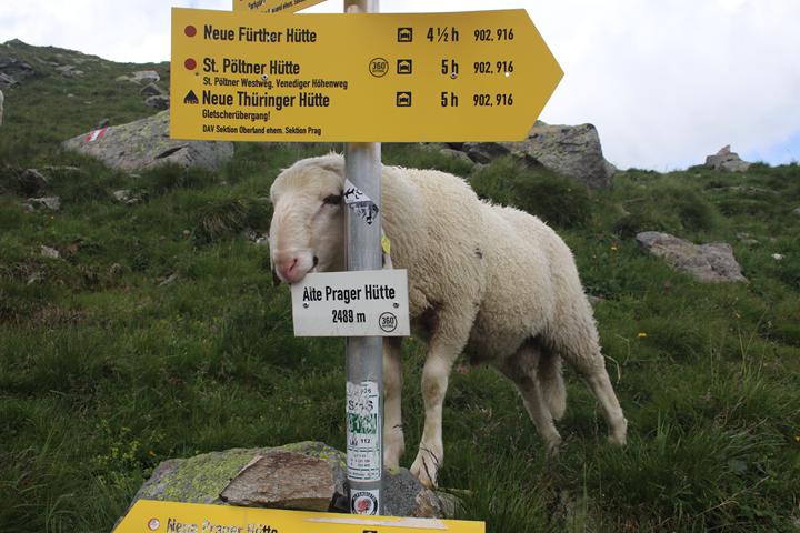 Bilder 10.Bergwoche  3. 11.08 (41) 